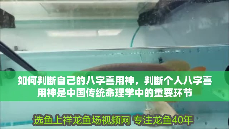如何判斷自己的八字喜用神，判斷個人八字喜用神是中國傳統命理學中的重要環節