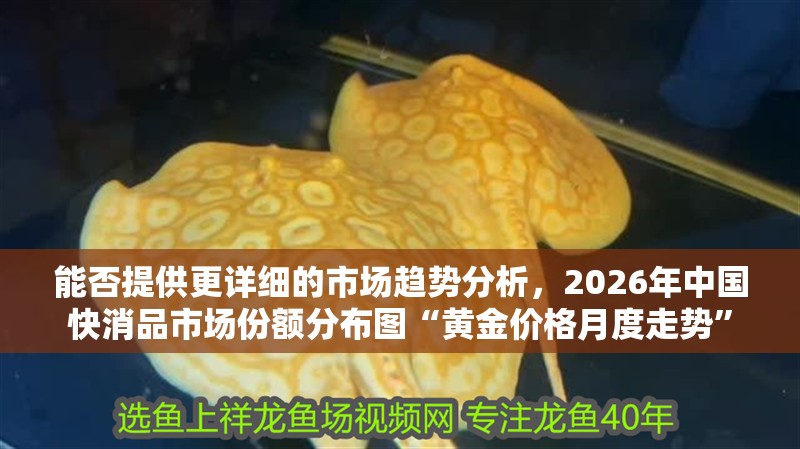 能否提供更詳細的市場趨勢分析，2026年中國快消品市場份額分布圖“黃金價格月度走勢”