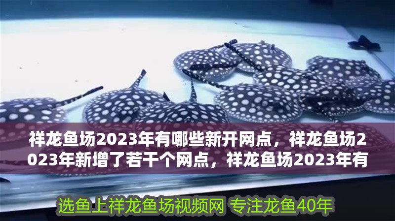 祥龍魚場2023年有哪些新開網點，祥龍魚場2023年新增了若干個網點，祥龍魚場2023年有哪些新開網點