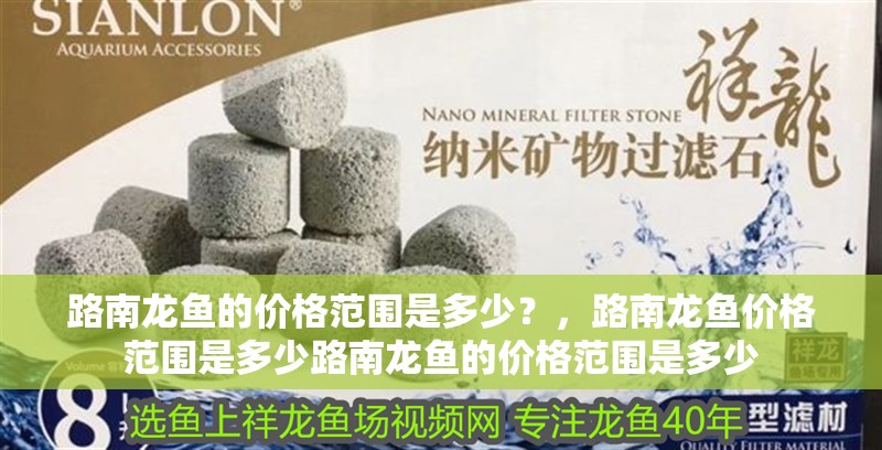 路南龍魚的價格范圍是多少？，路南龍魚價格范圍是多少路南龍魚的價格范圍是多少
