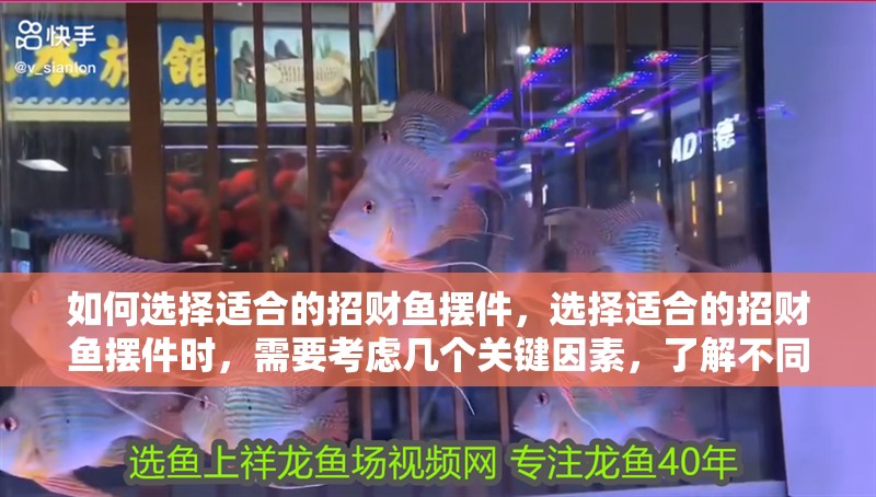 如何選擇適合的招財魚擺件，選擇適合的招財魚擺件時，需要考慮幾個關(guān)鍵因素，了解不同種類的含義和寓意
