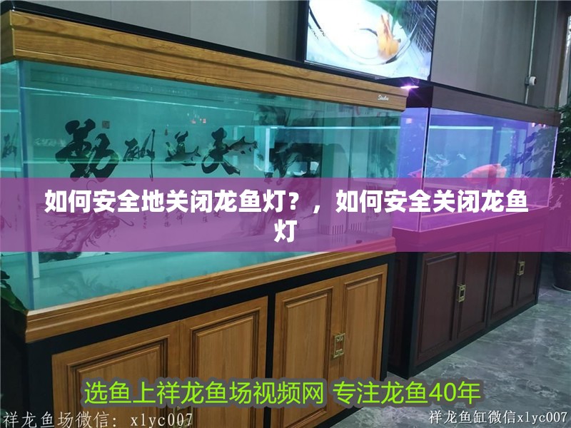 如何安全地關(guān)閉龍魚燈？，如何安全關(guān)閉龍魚燈