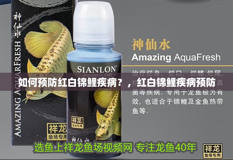 如何預防紅白錦鯉疾病？，紅白錦鯉疾病預防