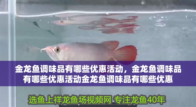 金龍魚調味品有哪些優惠活動，金龍魚調味品有哪些優惠活動金龍魚調味品有哪些優惠