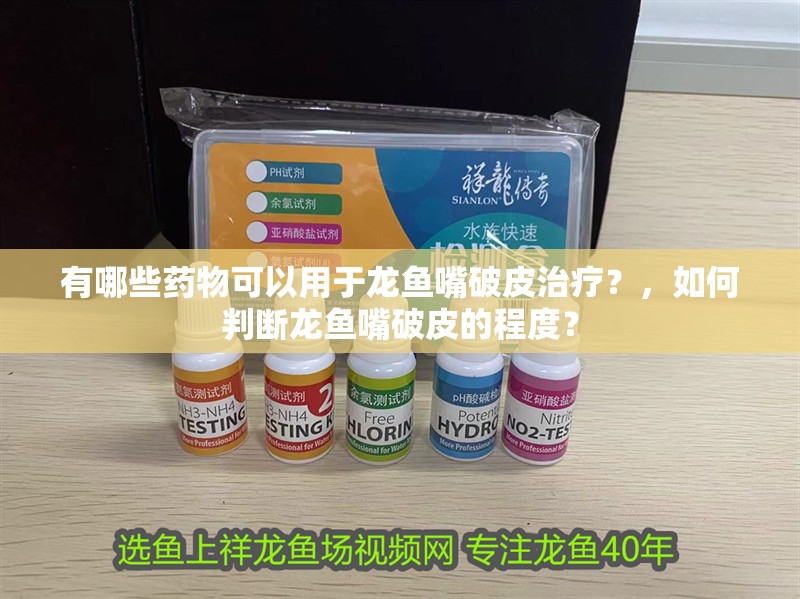 有哪些藥物可以用于龍魚嘴破皮治療？，如何判斷龍魚嘴破皮的程度？