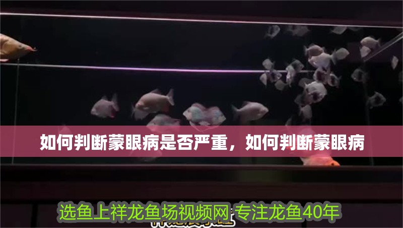 如何判斷蒙眼病是否嚴重，如何判斷蒙眼病