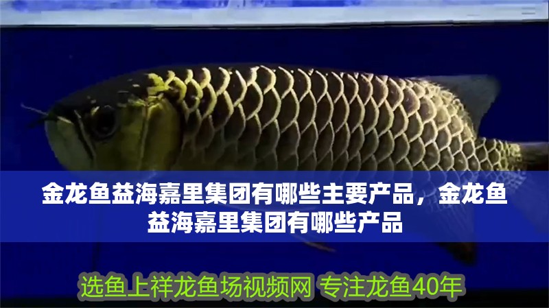 金龍魚益海嘉里集團有哪些主要產品，金龍魚益海嘉里集團有哪些產品