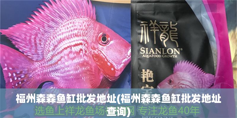 福州森森魚缸批發地址(福州森森魚缸批發地址查詢) 龍魚百科 第1張 福州森森魚缸批發地址(福州森森魚缸批發地址查詢) 福州森森魚缸批發地址(福州森森魚缸批發地址查詢) 龍魚百科 第1張