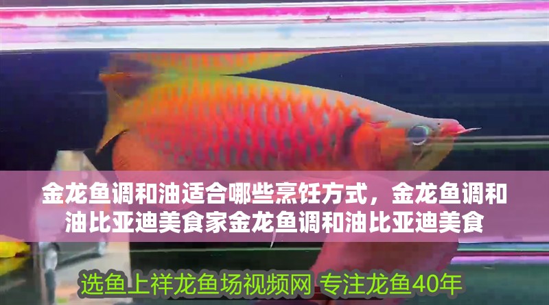 金龍魚調和油適合哪些烹飪方式，金龍魚調和油比亞迪美食家金龍魚調和油比亞迪美食
