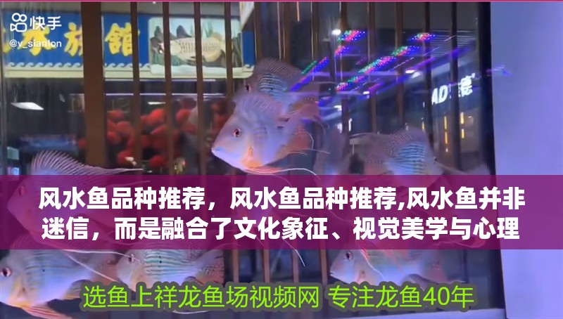 風水魚品種推薦，風水魚品種推薦,風水魚并非迷信，而是融合了文化象征、視覺美學與心理慰藉的傳統實踐