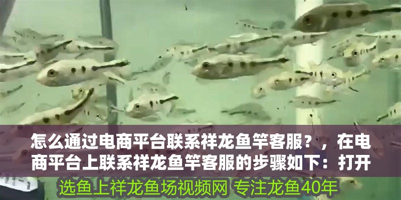 怎么通過電商平臺聯系祥龍魚竿客服？，在電商平臺上聯系祥龍魚竿客服的步驟如下：打開您的賬戶