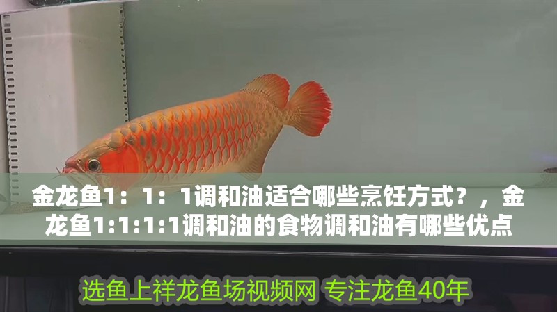 金龍魚1：1：1調和油適合哪些烹飪方式？，金龍魚1:1:1:1調和油的食物調和油有哪些優點