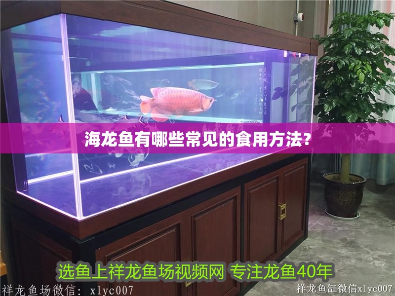 海龍魚有哪些常見的食用方法？