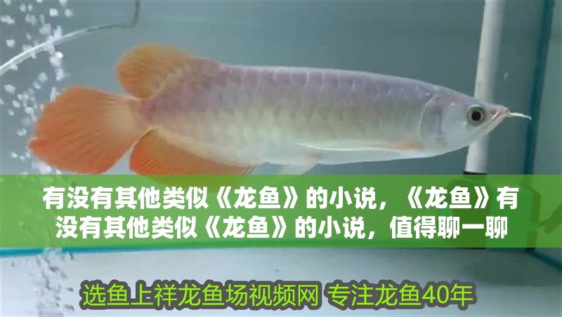 有沒有其他類似《龍魚》的小說，《龍魚》有沒有其他類似《龍魚》的小說，值得聊一聊