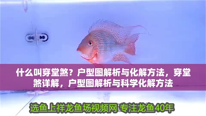 什么叫穿堂煞？戶型圖解析與化解方法，穿堂煞詳解，戶型圖解析與科學化解方法