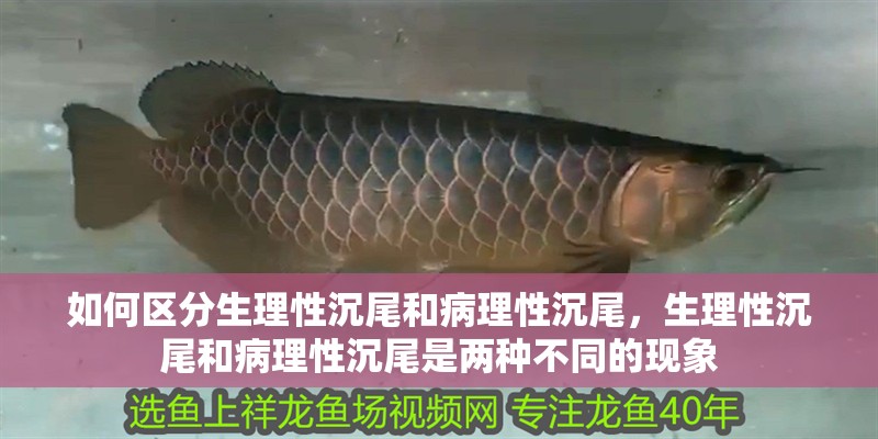 如何區(qū)分生理性沉尾和病理性沉尾，生理性沉尾和病理性沉尾是兩種不同的現(xiàn)象