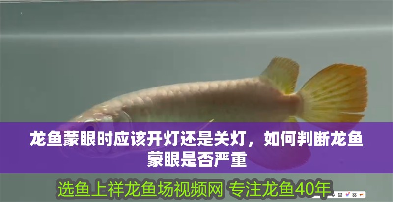 龍魚蒙眼時應該開燈還是關燈，如何判斷龍魚蒙眼是否嚴重