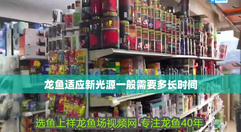 龍魚適應新光源一般需要多長時間