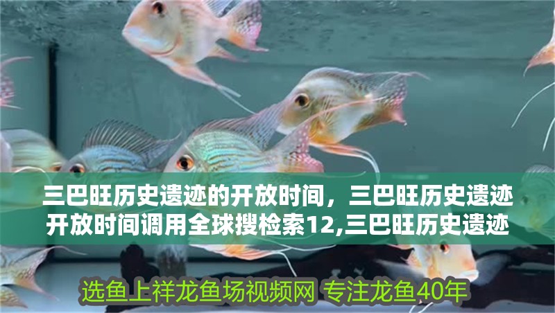 三巴旺歷史遺跡的開放時間，三巴旺歷史遺跡開放時間調(diào)用全球搜檢索12,三巴旺歷史遺跡