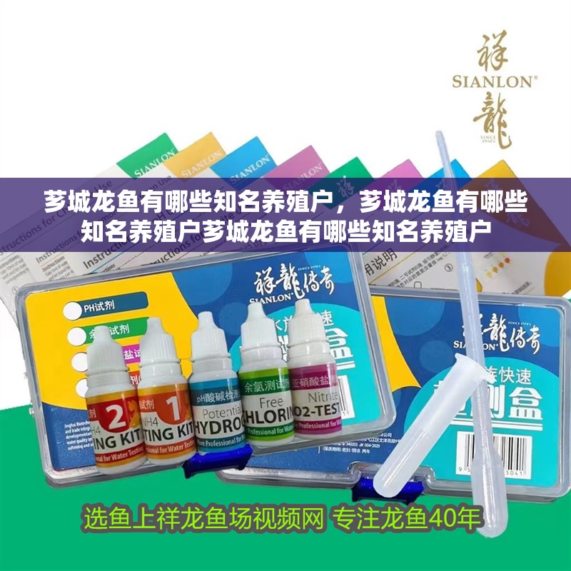 薌城龍魚有哪些知名養(yǎng)殖戶，薌城龍魚有哪些知名養(yǎng)殖戶薌城龍魚有哪些知名養(yǎng)殖戶