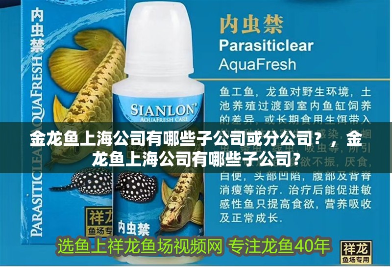 金龍魚上海公司有哪些子公司或分公司？，金龍魚上海公司有哪些子公司？