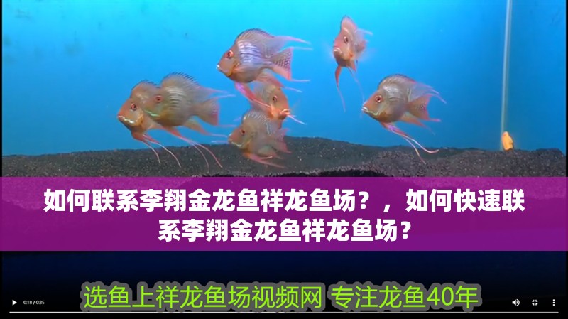 如何聯系李翔金龍魚祥龍魚場？，如何快速聯系李翔金龍魚祥龍魚場？