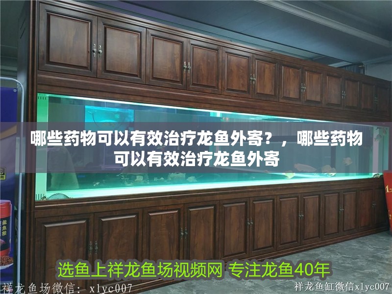 哪些藥物可以有效治療龍魚外寄？，哪些藥物可以有效治療龍魚外寄