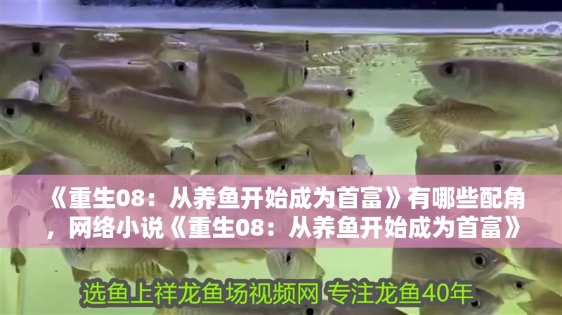 《重生08：從養魚開始成為首富》有哪些配角，網絡小說《重生08：從養魚開始成為首富》有哪些配角