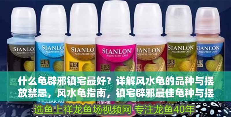 什么龜辟邪鎮宅最好？詳解風水龜的品種與擺放禁忌，風水龜指南，鎮宅辟邪最佳龜種與擺放禁忌詳解