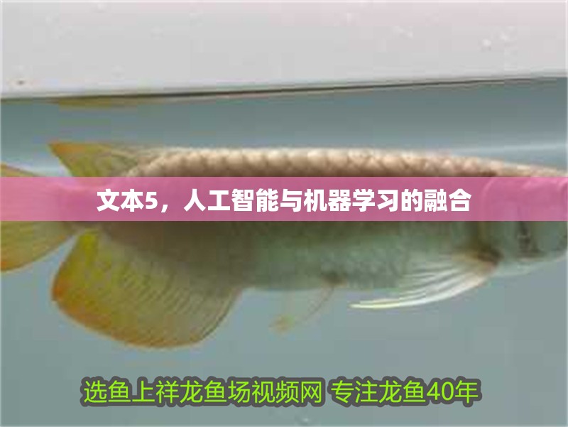 文本5，人工智能與機器學習的融合