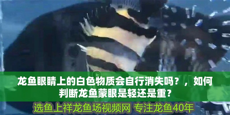 龍魚眼睛上的白色物質會自行消失嗎？，如何判斷龍魚蒙眼是輕還是重？
