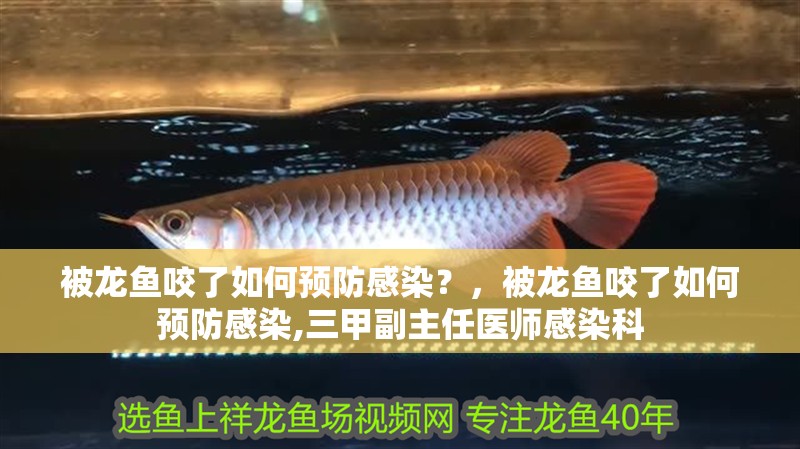被龍魚咬了如何預防感染？，被龍魚咬了如何預防感染,三甲副主任醫師感染科