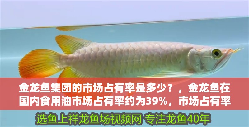 金龍魚集團的市場占有率是多少？，金龍魚在國內食用油市場占有率約為39%，市場占有率是多少