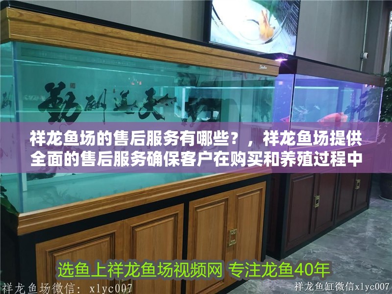 祥龍魚場的售后服務(wù)有哪些？，祥龍魚場提供全面的售后服務(wù)確保客戶在購買和養(yǎng)殖過程中得到支持