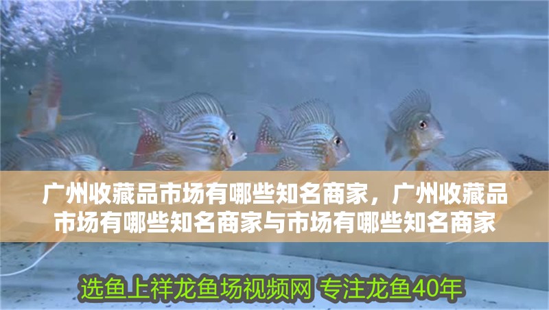 廣州收藏品市場有哪些知名商家，廣州收藏品市場有哪些知名商家與市場有哪些知名商家