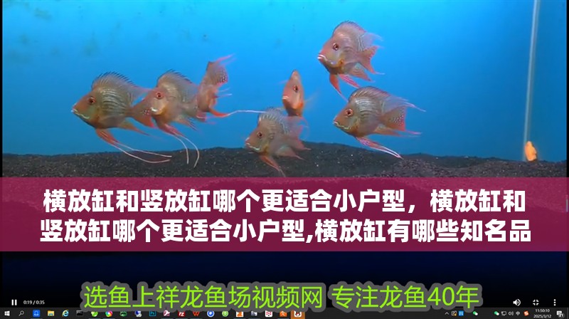 橫放缸和豎放缸哪個更適合小戶型，橫放缸和豎放缸哪個更適合小戶型,橫放缸有哪些知名品牌推薦