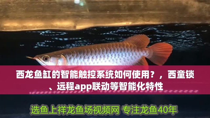 西龍魚缸的智能觸控系統如何使用？，西童鎖、遠程app聯動等智能化特性