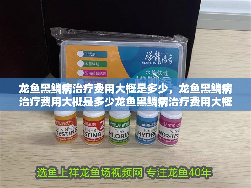 龍魚黑鱗病治療費(fèi)用大概是多少，龍魚黑鱗病治療費(fèi)用大概是多少龍魚黑鱗病治療費(fèi)用大概多少