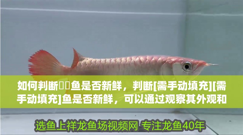 如何判斷鮟鱇魚是否新鮮，判斷[需手動填充][需手動填充]魚是否新鮮，可以通過觀察其外觀和觸摸肉質(zhì)來進行