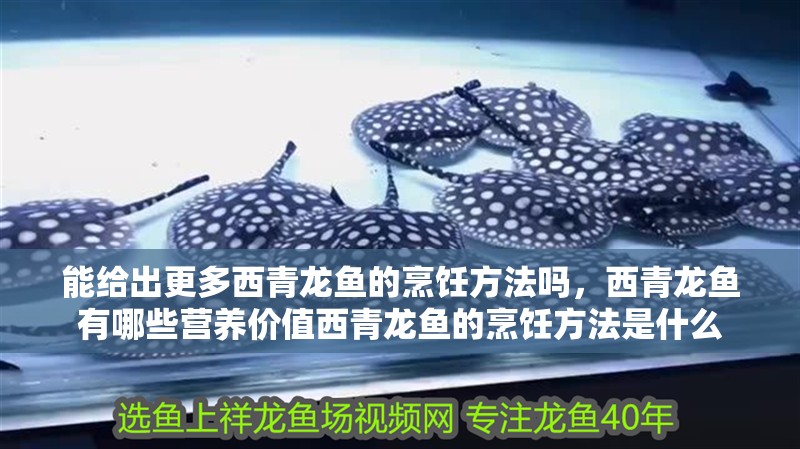 能給出更多西青龍魚的烹飪方法嗎，西青龍魚有哪些營養價值西青龍魚的烹飪方法是什么