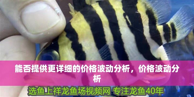 能否提供更詳細的價格波動分析，價格波動分析