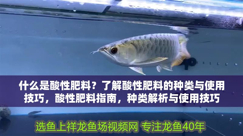 什么是酸性肥料？了解酸性肥料的種類與使用技巧，酸性肥料指南，種類解析與使用技巧