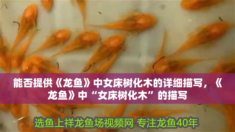 能否提供《龍魚》中女床樹化木的詳細(xì)描寫，《龍魚》中“女床樹化木”的描寫