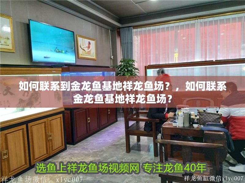 如何聯(lián)系到金龍魚基地祥龍魚場(chǎng)？，如何聯(lián)系金龍魚基地祥龍魚場(chǎng)？