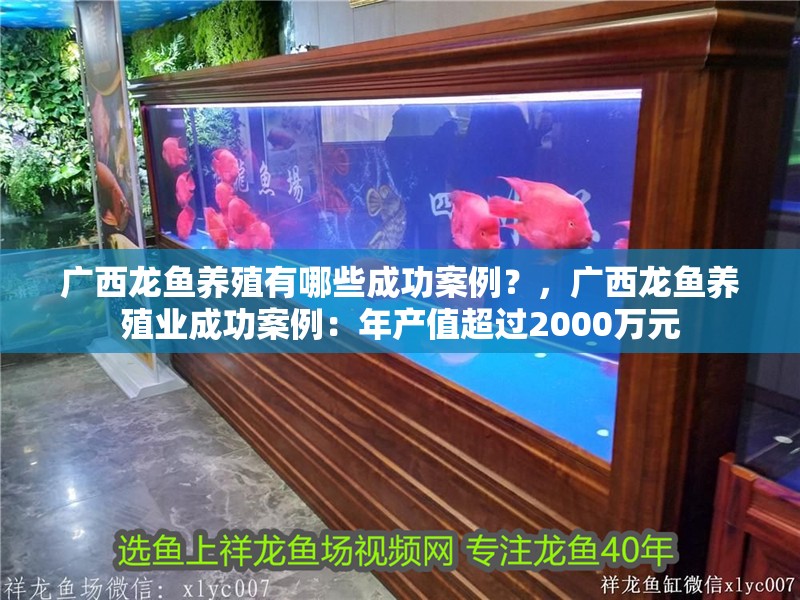 廣西龍魚養殖有哪些成功案例？，廣西龍魚養殖業成功案例：年產值超過2000萬元