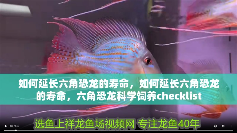 如何延長六角恐龍的壽命，如何延長六角恐龍的壽命，六角恐龍科學飼養checklist