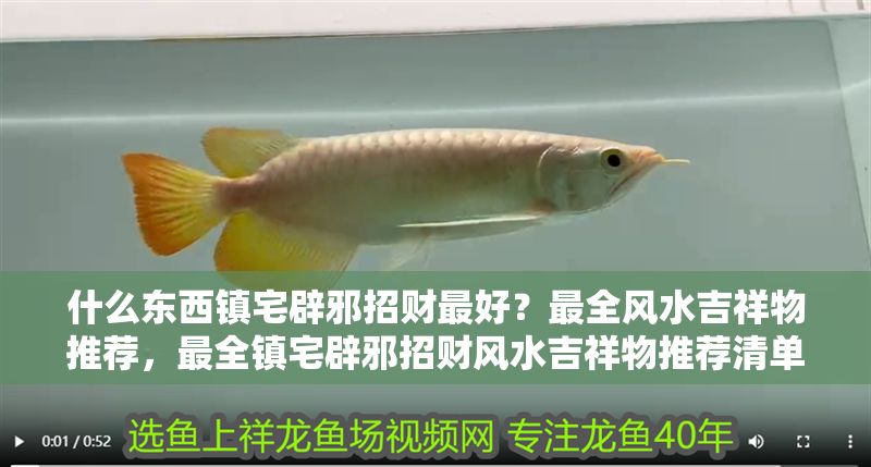 什么東西鎮宅辟邪招財最好？最全風水吉祥物推薦，最全鎮宅辟邪招財風水吉祥物推薦清單