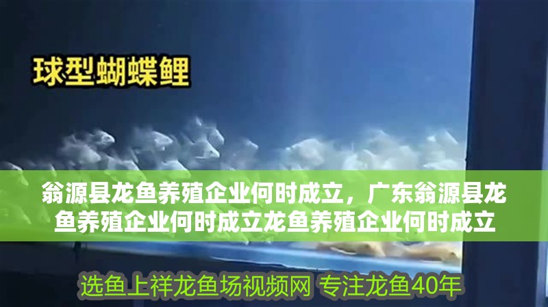 翁源縣龍魚養殖企業何時成立，廣東翁源縣龍魚養殖企業何時成立龍魚養殖企業何時成立