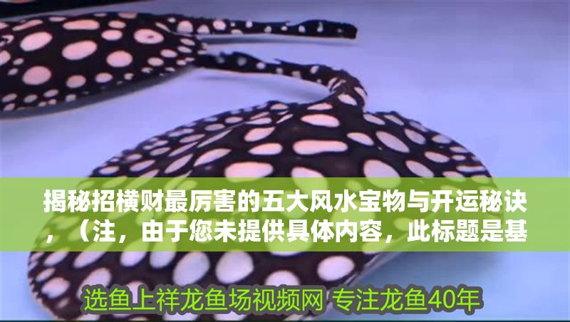 揭秘招橫財最厲害的五大風(fēng)水寶物與開運秘訣，（注，由于您未提供具體內(nèi)容，此標(biāo)題是基于常見風(fēng)水招財主題生成的通用示例。如需針對特定內(nèi)容定制，請補充詳細(xì)信息。）