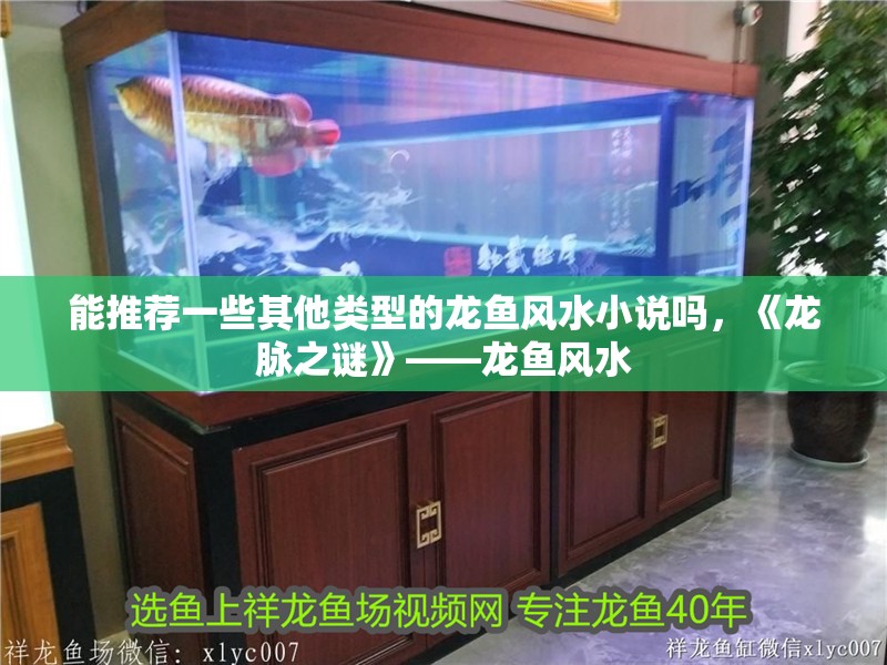 能推薦一些其他類型的龍魚風水小說嗎，《龍脈之謎》——龍魚風水